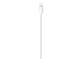 Apple Lightning-kabel - Lightning / US