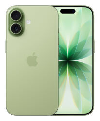 Apple iPhone 17 16 cm (6.3") Dual SIM
