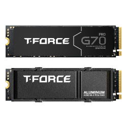 Team Group T-FORCE Graphene - 2 TB - S